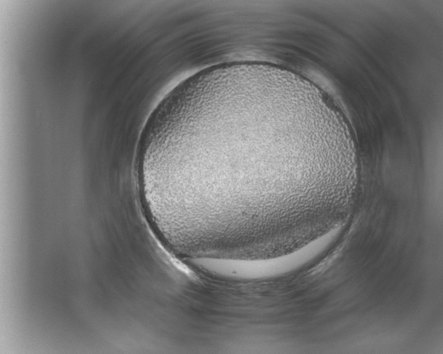 X0000067481141200604281913