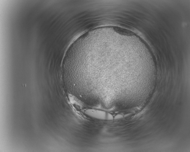 X0000067481145200604281913