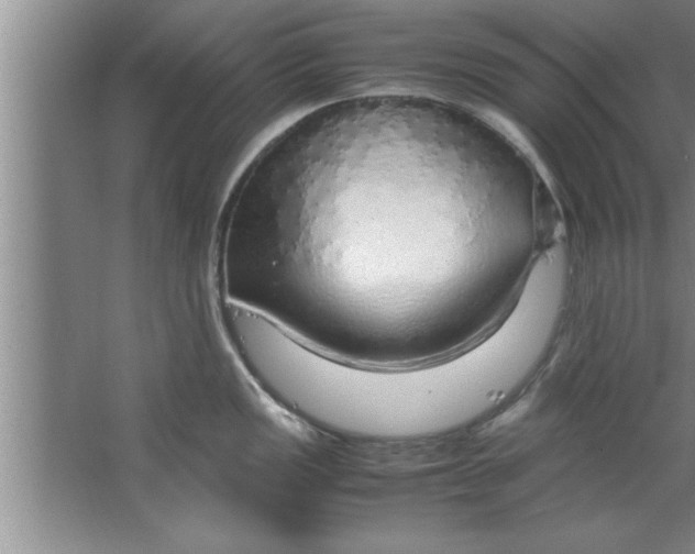 X0000067481149200604281913