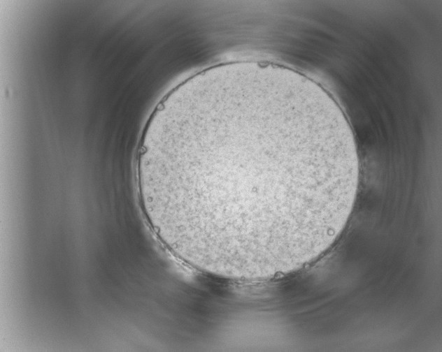 X0000067481150200604281913