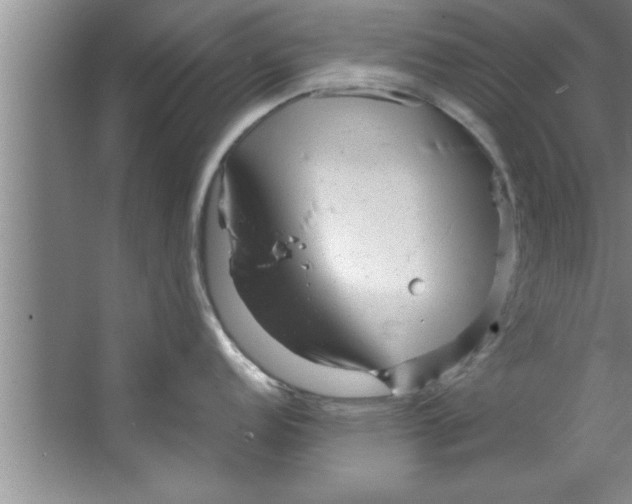 X0000067481152200604281913