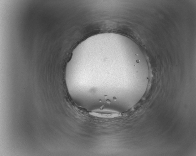 X0000067481153200604281913