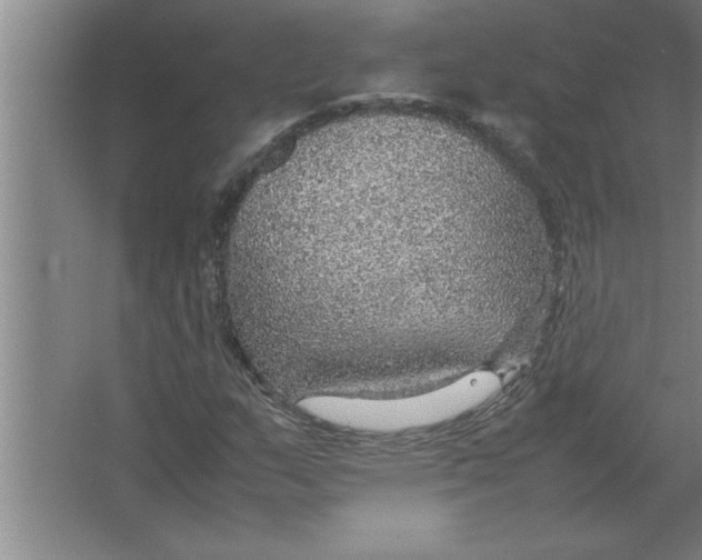 X0000067481159200604281912