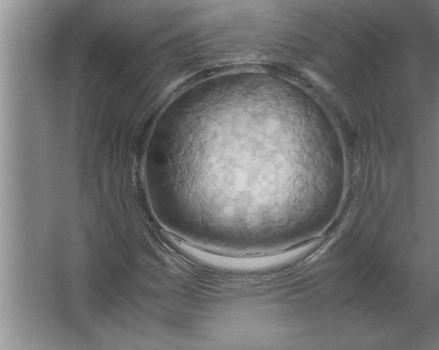 X0000067481161200604281912