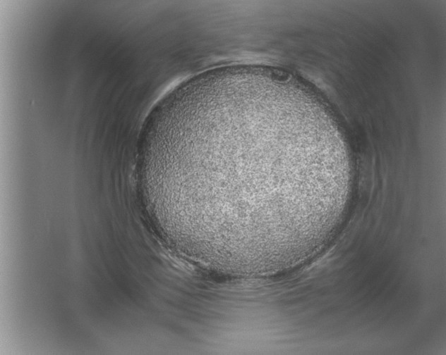 X0000067481163200604281912