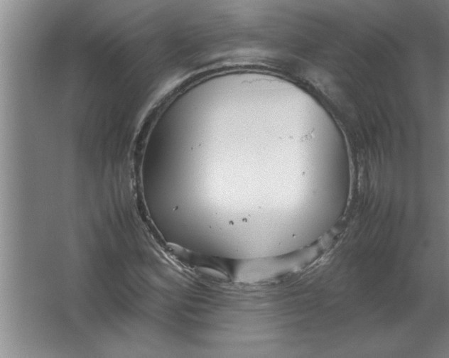 X0000067481164200604281912