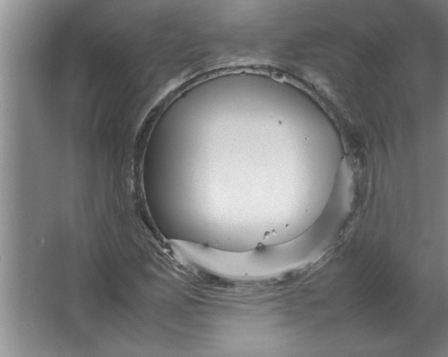 X0000067481165200604281912