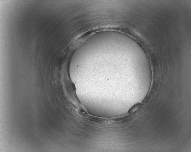 X0000067481169200604281912