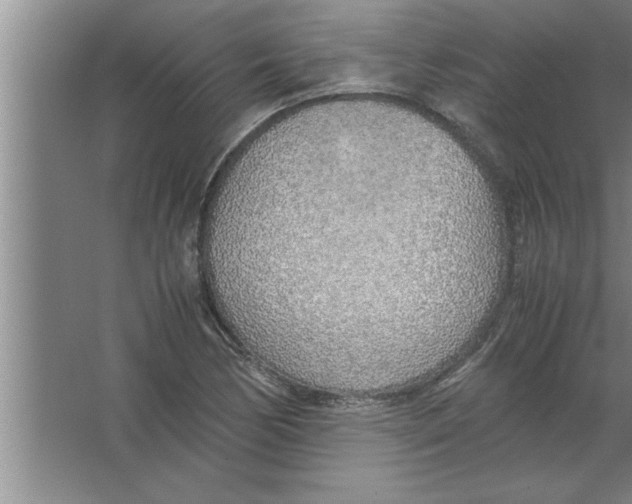 X0000067481170200604281912