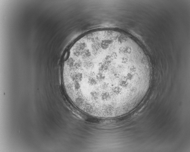 X0000067481171200604281912