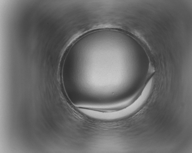 X0000067481173200604281912