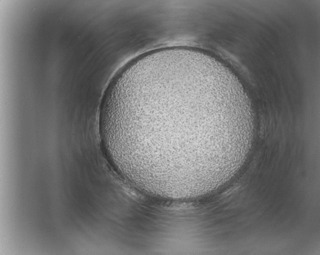 X0000067481174200604281912