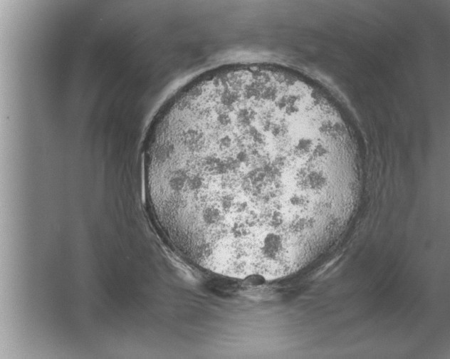 X0000067481175200604281912