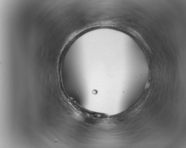 X0000067481176200604281912