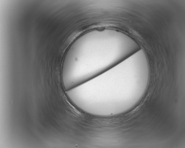 X0000067481177200604281912