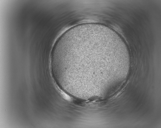 X0000067481179200604281912