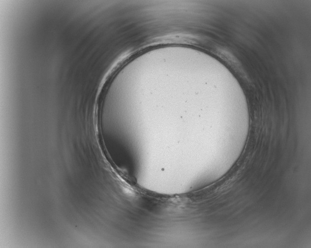 X0000067481180200604281912