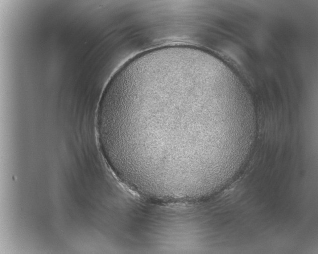 X0000067481182200604281912