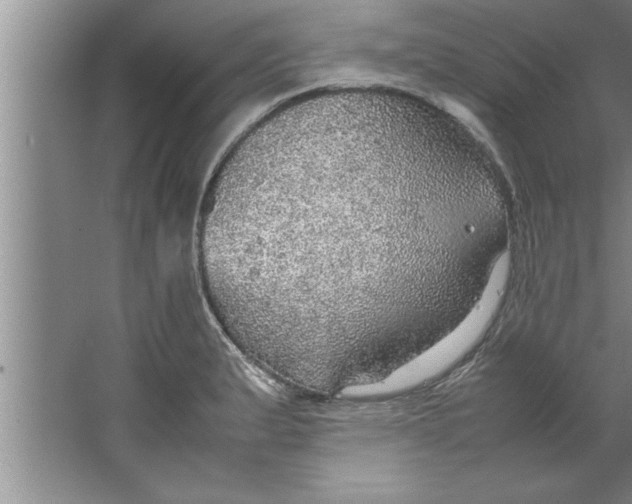 X0000067481183200604281912