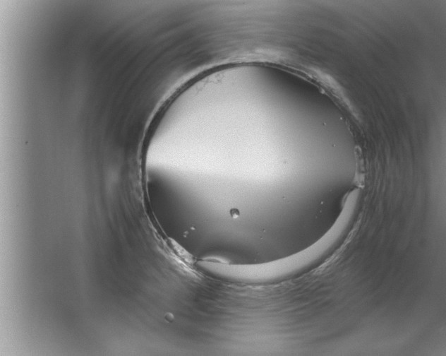 X0000067481184200604281912