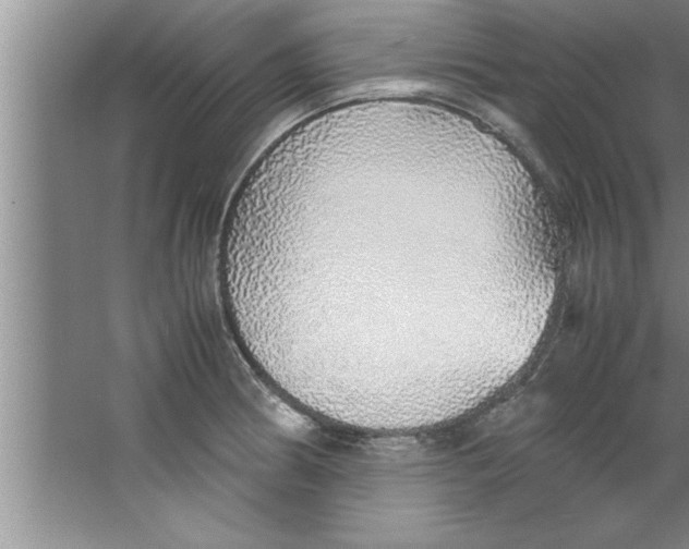 X0000067481186200604281912