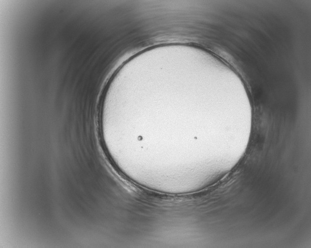 X0000067481187200604281912