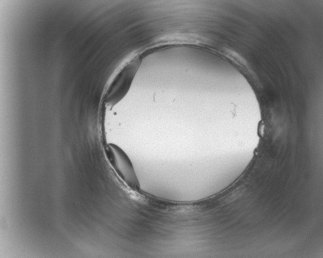 X0000067481188200604281912