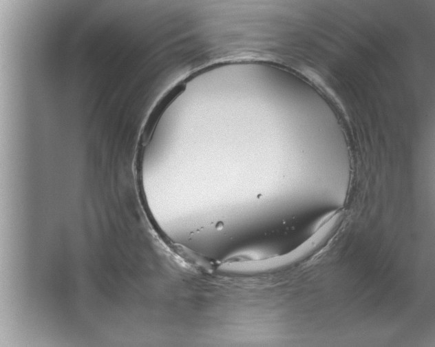 X0000067481189200604281912