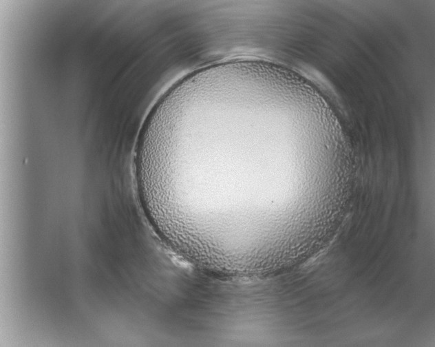 X0000067481190200604281912