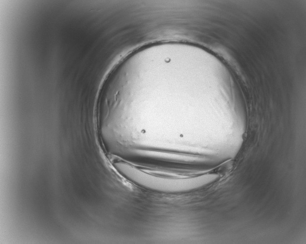 X0000067481191200604281912