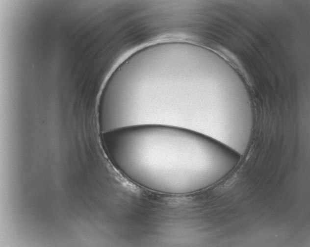 X0000067481192200604281912