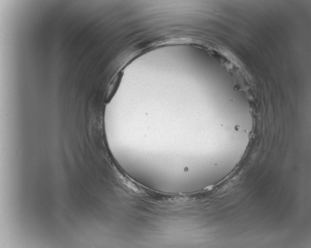 X0000067481193200604281912