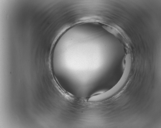 X0000067481196200604281912