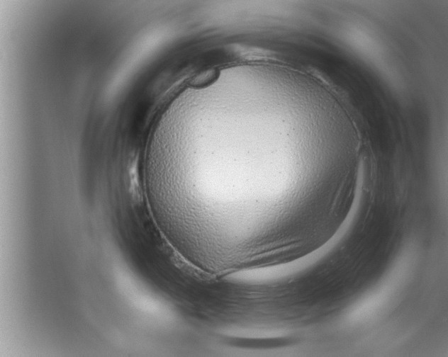 X0000067481198200604281912