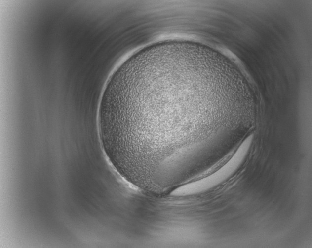 X0000067481199200604281912