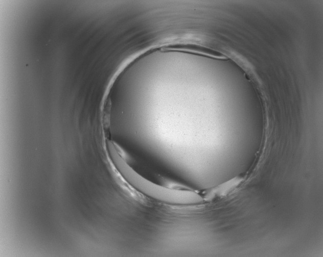 X0000067481200200604281912