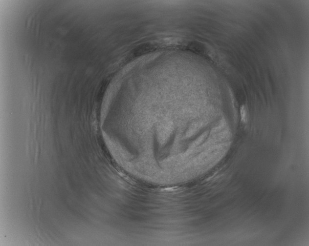 X0000067481203200604281911