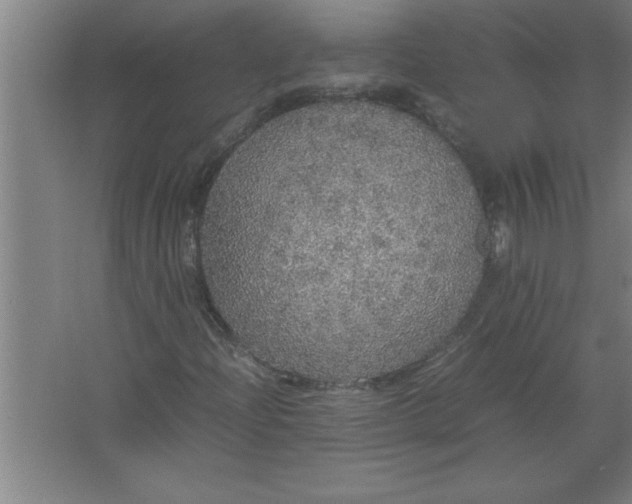 X0000067481204200604281911