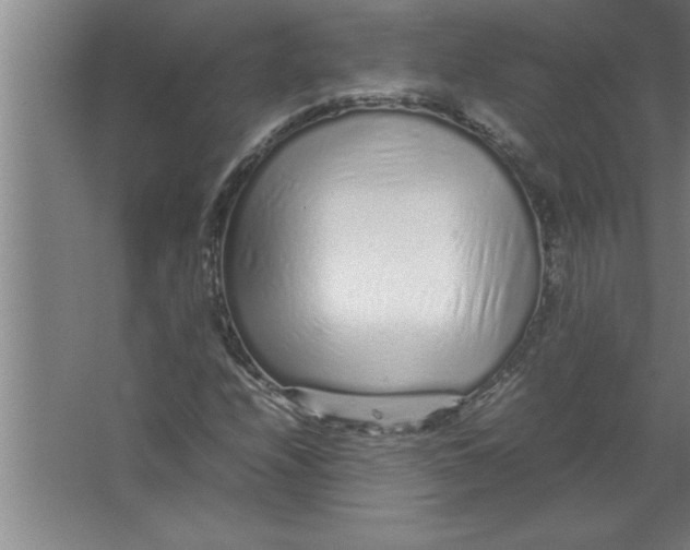 X0000067481208200604281911