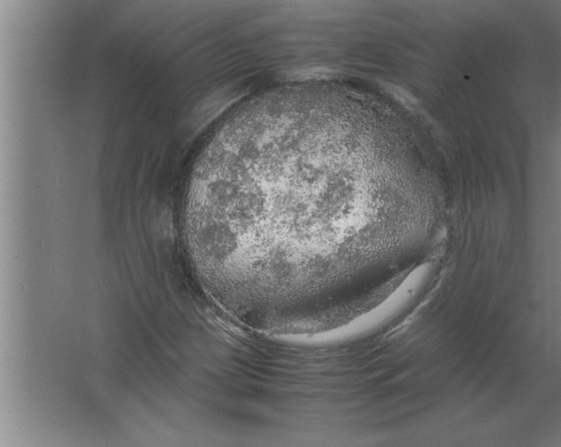 X0000067481209200604281911