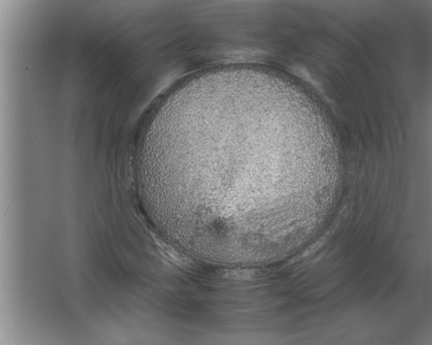 X0000067481211200604281911