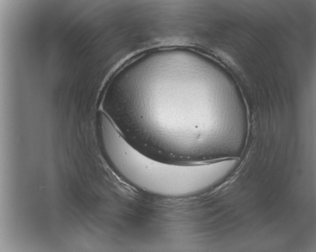 X0000067481212200604281911