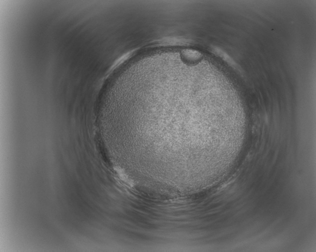 X0000067481213200604281911