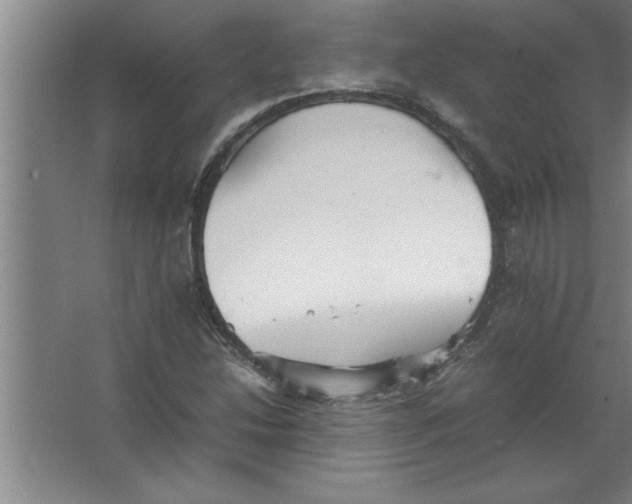 X0000067481214200604281911