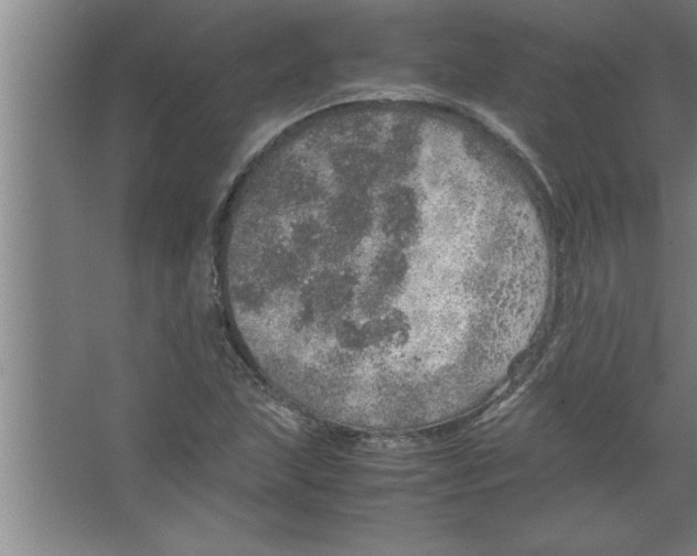 X0000067481215200604281911