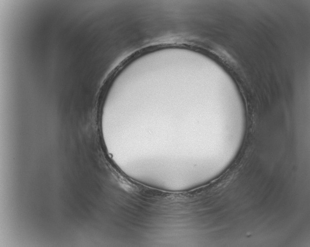 X0000067481216200604281911