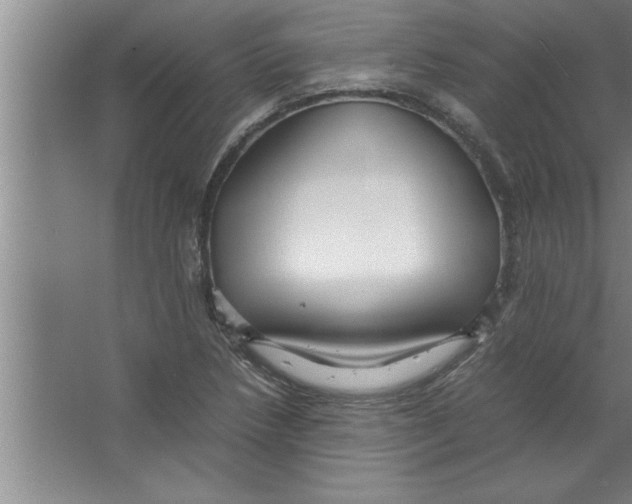 X0000067481218200604281911