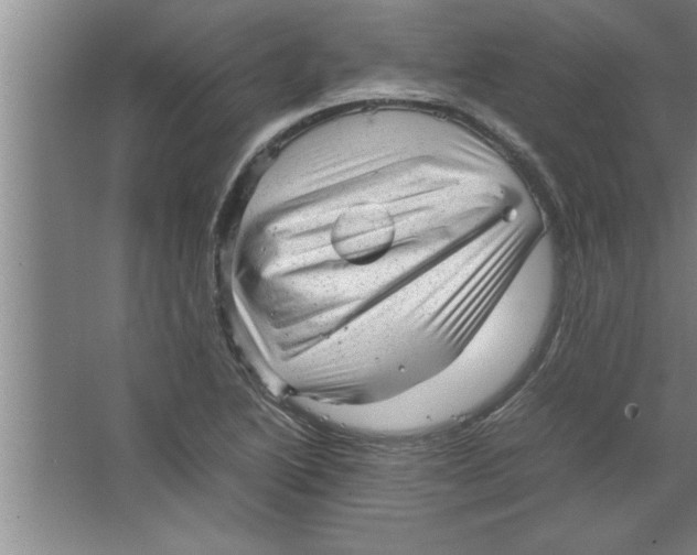 X0000067481222200604281911