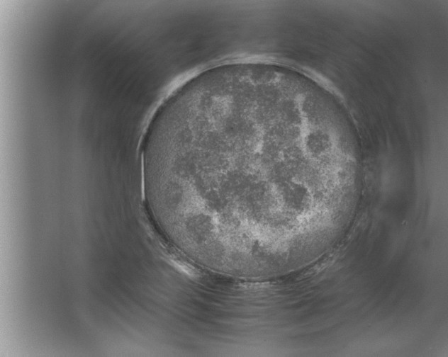 X0000067481223200604281911