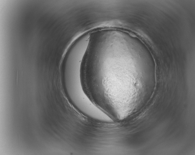 X0000067481224200604281911